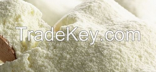 Skimmed Milk Powder