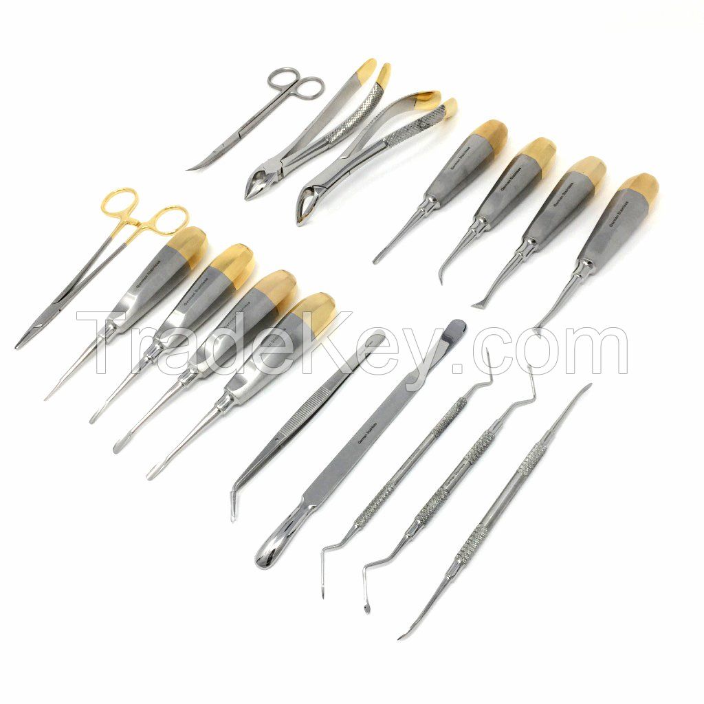 Dental Surgical Instrument Set