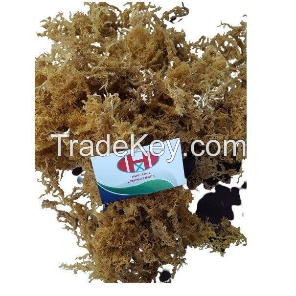 Irish Sea Moss Organic Made In Vietnam Whatsapp 84348545435