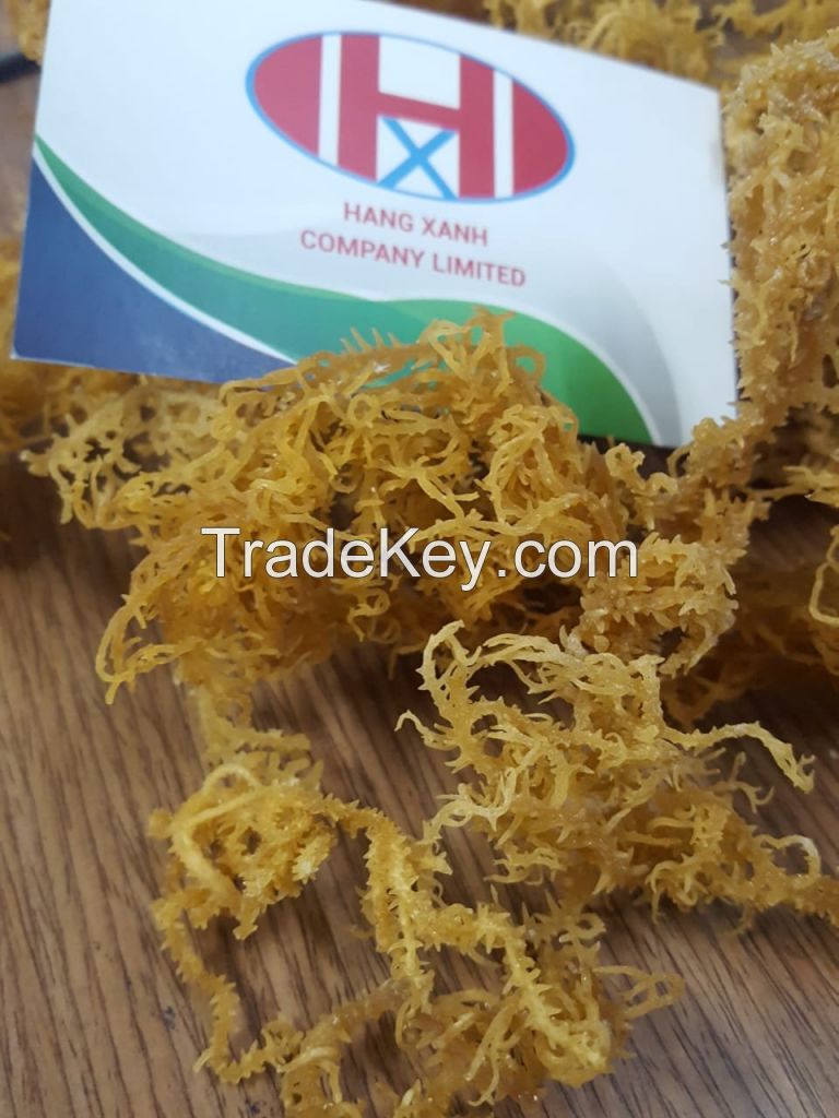 Irish Sea Moss Organic Made In Vietnam Whatsapp 84348545435