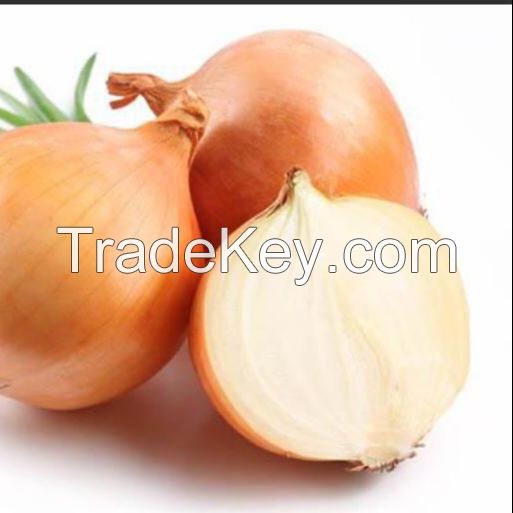 Fresh Onions Fast Shipping high Quality from Turkey