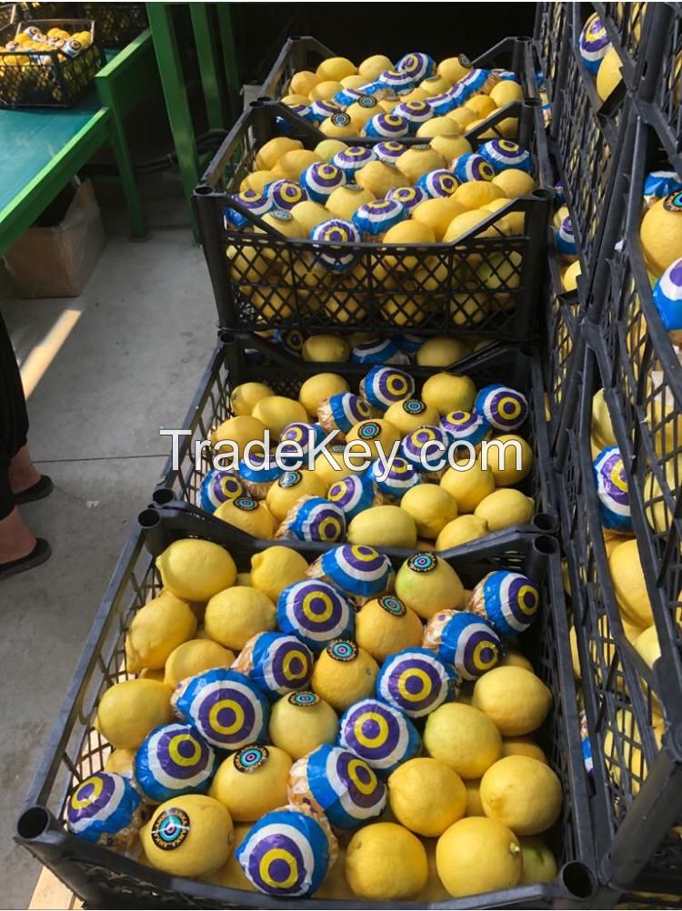 Premium Quality Fresh LEMON Fast Shipping high Quality Lemon from Turkey