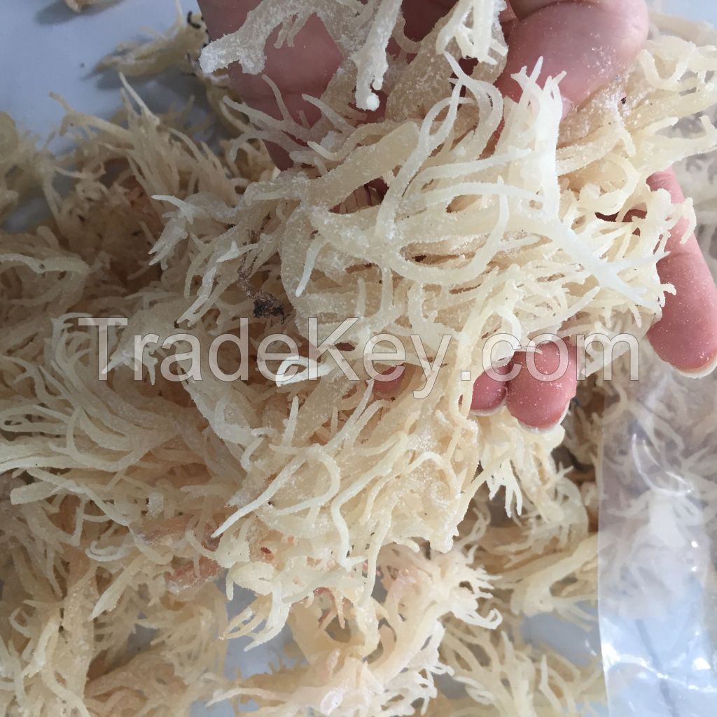 GOOD PRICE WILDCRAFTED DRIED SEAMOSS IN VIETNAM