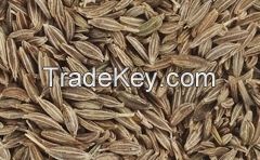 High quality cumin seeds