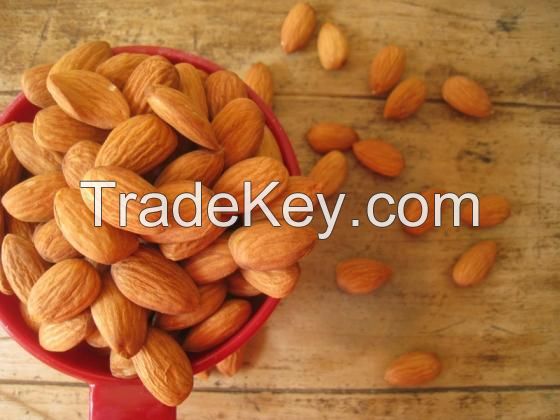 Almond Nuts/High Quality Iranian Almond Nuts/Almond Kernel 