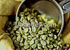 Arabica Coffee Beans/ green beans coffee