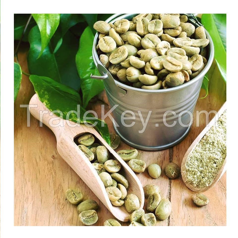Arabica Coffee Beans/ green beans coffee