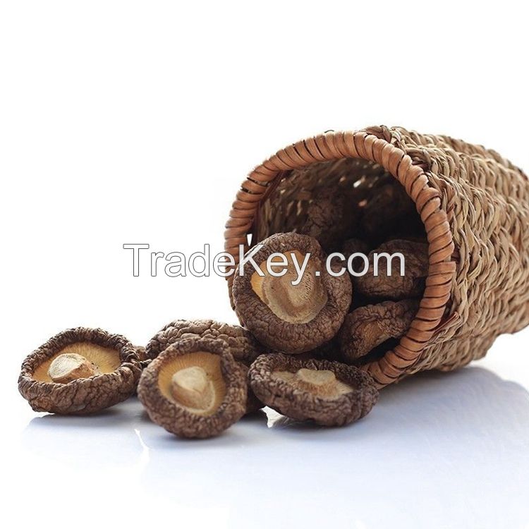 Organic Healthy Snack High Quality Fresh Shitake Mushrooms Dried 