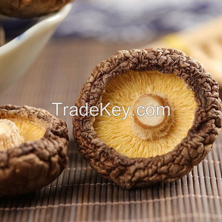 Organic Healthy Snack High Quality Fresh Shitake Mushrooms Dried 