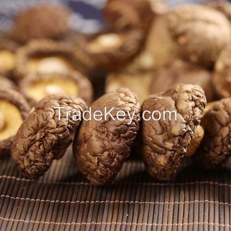 Organic Healthy Snack High Quality Fresh Shitake Mushrooms Dried