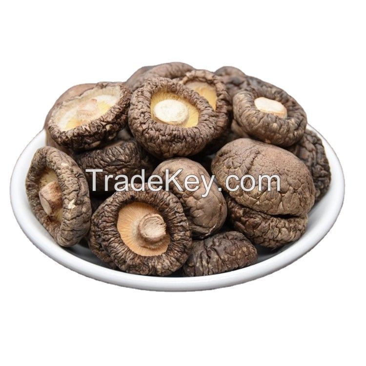 Organic Healthy Snack High Quality Fresh Shitake Mushrooms Dried 