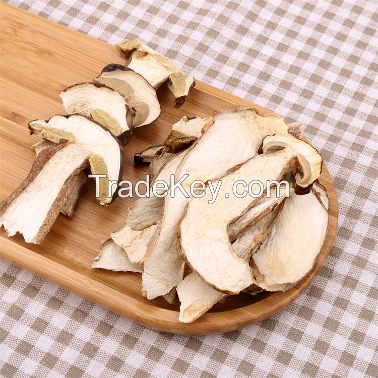 Younium Dried King Boletus Mushroom Frozen Boletus Russula Virescens Boletus Mushrooms