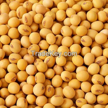 Yellow Grade 2 Non-GMO Soya/ Soja / Soybeans for Human Consumption Origin ( USA) 