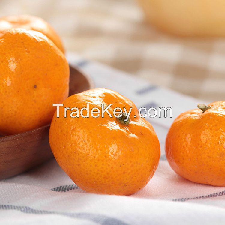 Fresh fruit delicious oranges for sale Fresh Navel Orange