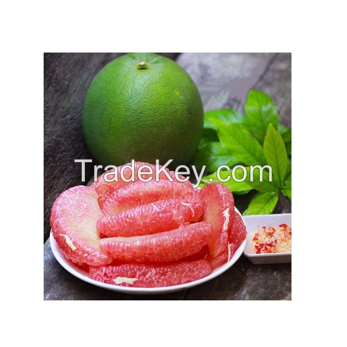 Buy fresh fruit grapefruit pomelo