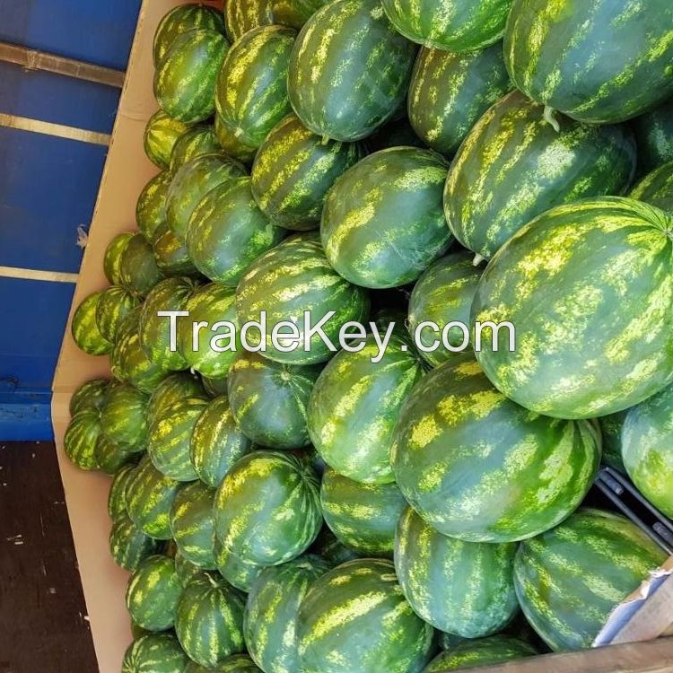 Best Vietnam High Quality Fresh Water Melon Fruit