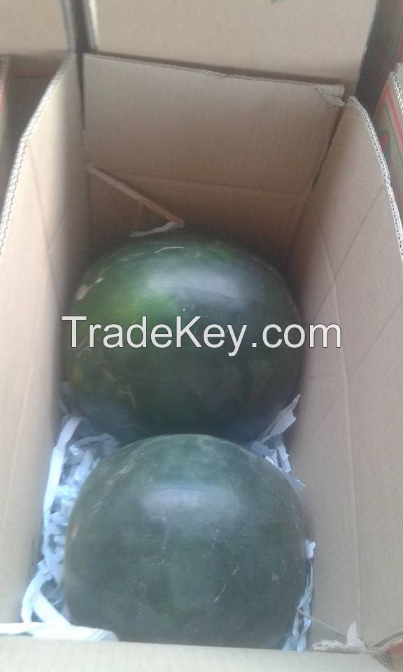 Minh Phuong Vietnam High Quality Fresh Water Melon Fruit