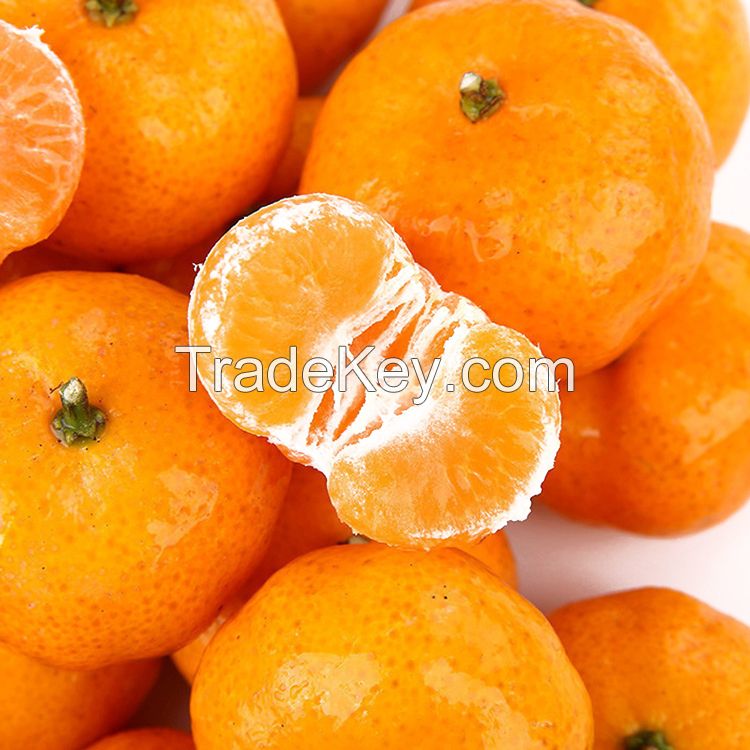 Fresh fruit delicious oranges for sale Fresh Navel Orange