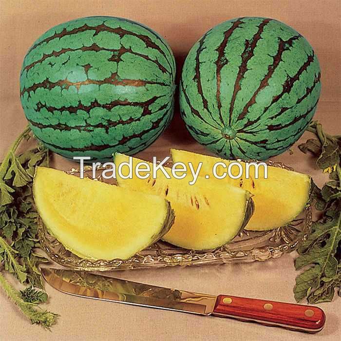 Yellow Peel red flesh seedless hybrid Watermelon Seeds for growing-Golden Seedless  3 buyers