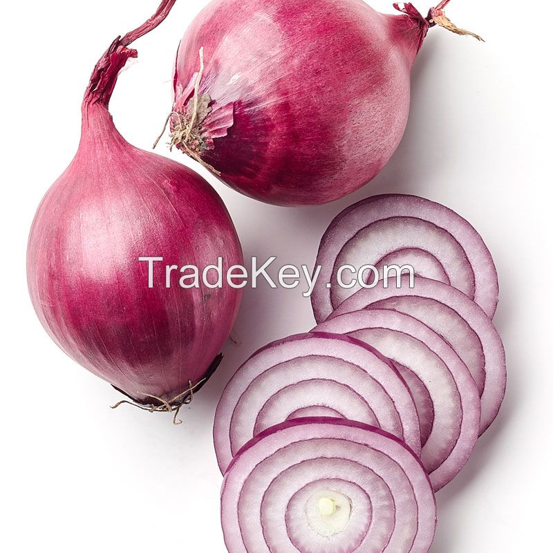 Fine Quality Dry Onion At Lowest Price in Ukraine