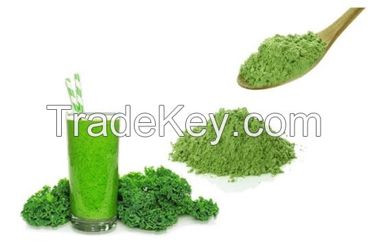 Wholesale Organic Kale Powder 