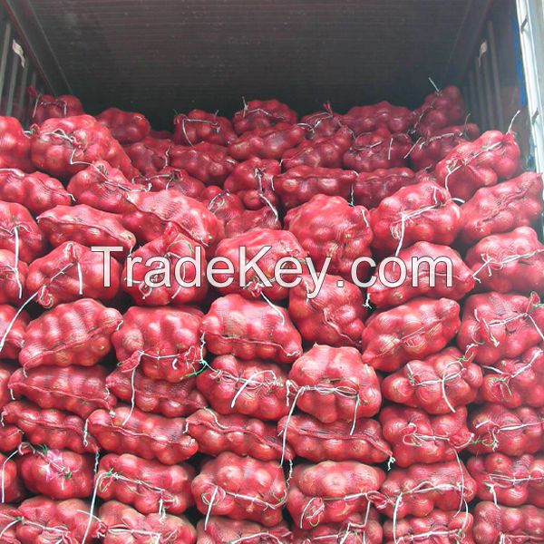 Fine Quality Dry Onion At Lowest Price in Ukraine