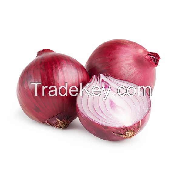 Onion fresh