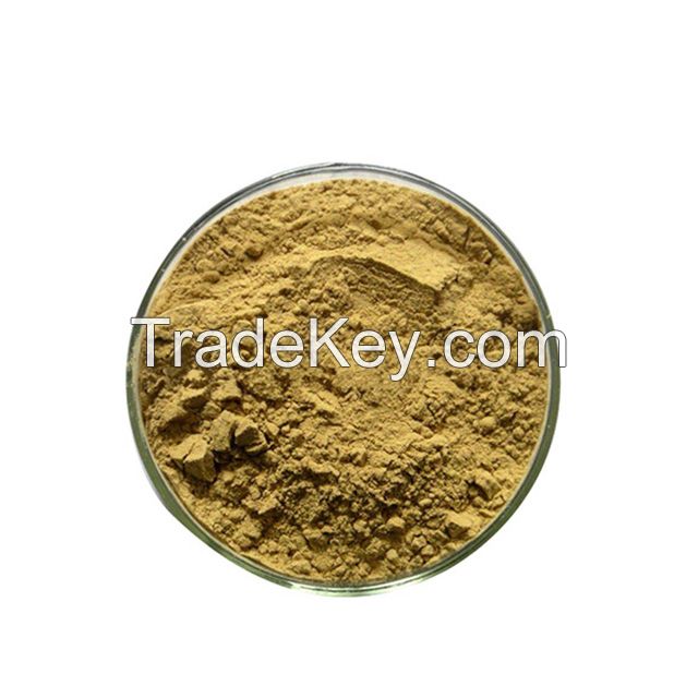 Wholesale Organic Kale Powder 