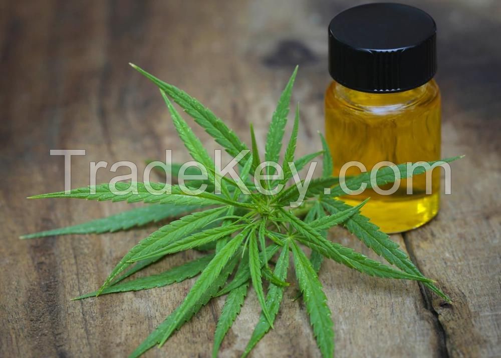 2019 Amazon Hot Selling Wholesale Price CBD Oil, CBD Full Spectrum Oil, Hemp CBD Oil