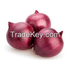 Premium Quality  Onion fresh from Farm