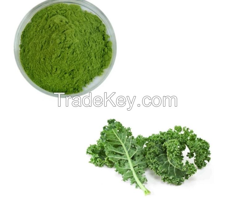 Top  Organic Kale Powder