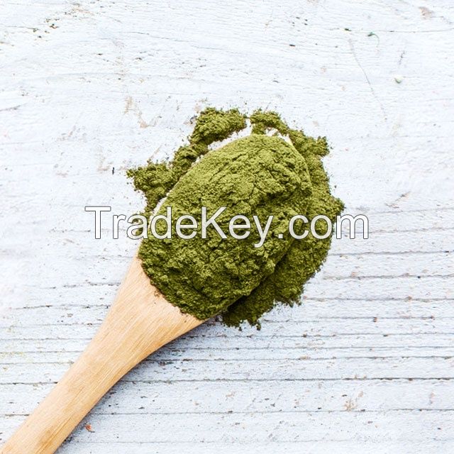 Wholesale Organic Kale Powder