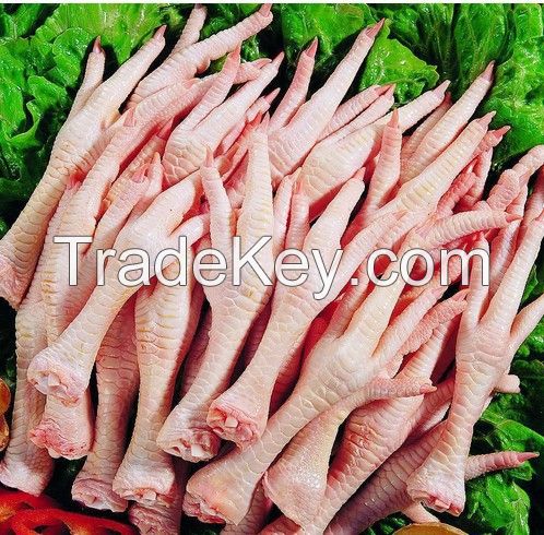 Frozen Chicken Paws for Sale from Ukraine