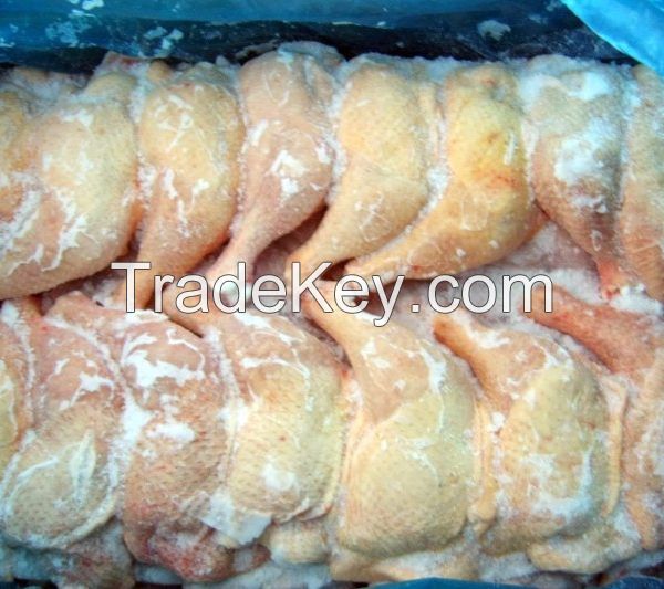 Frozen Chicken Paws for Sale from Ukraine