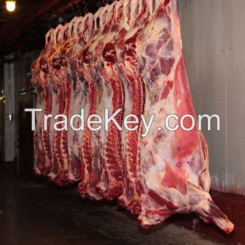 High Quality Grade A Bovine Beef Carcasse From Colombia Halal Cetified 4 Quarter Cuts Baged and Frozen