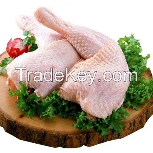 Grade (A) Frozen Chicken Paws for Sale from Chile and Argentina 