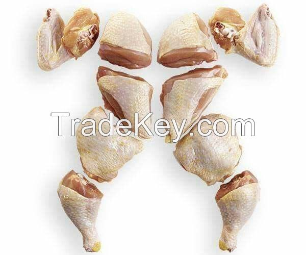 100%  Frozen Chicken Paws for Sale from Chile and Argentina 