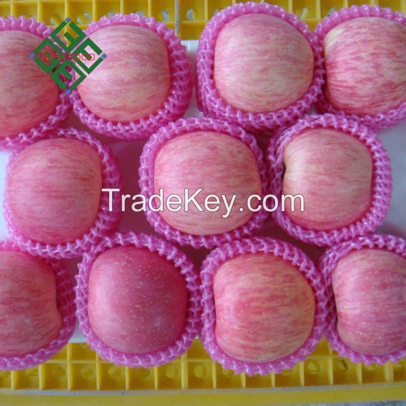  Wholesale High Quality Royal Market Prices Fresh Fruit Fuji Apple