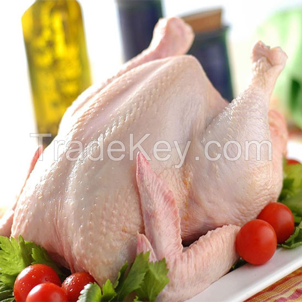 Grade (A) Frozen Chicken Paws for Sale from Chile and Argentina