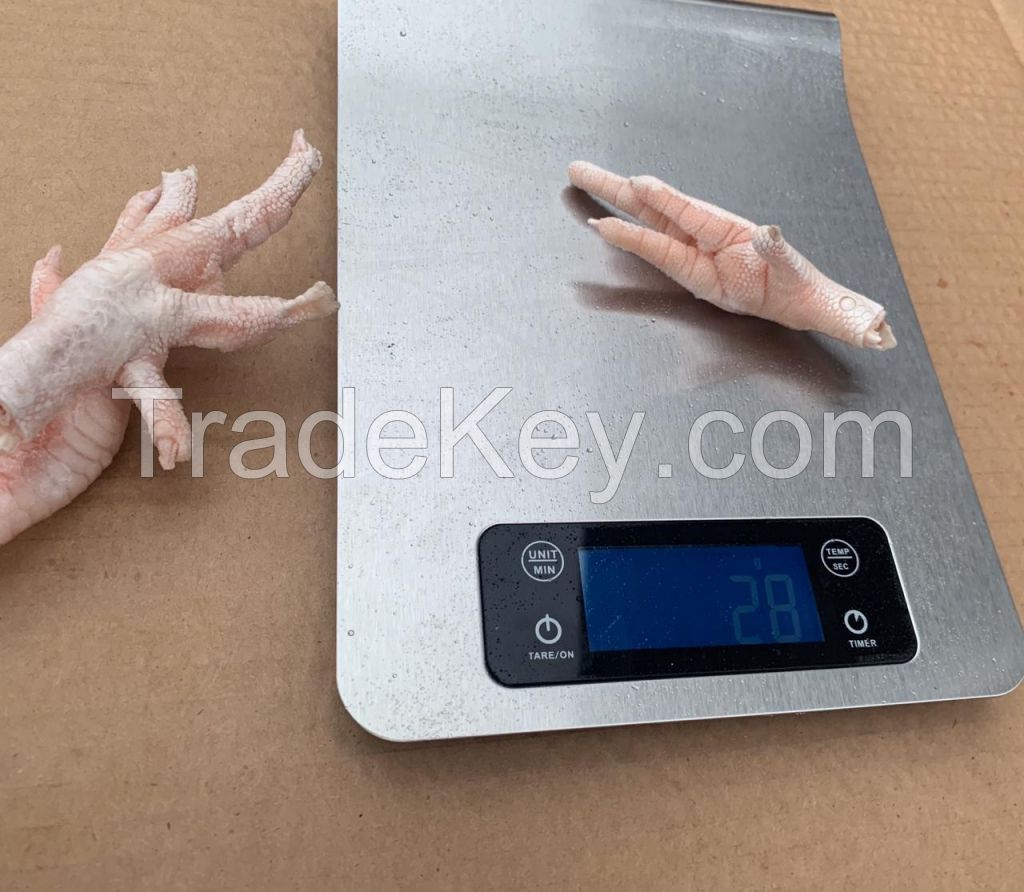 Grade (A) Frozen Chicken Paws for Sale from Chile and Argentina