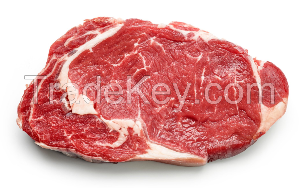 Halal Boneless Meat/ Frozen Beef Frozen Beef/cow meat supplier from Brazil