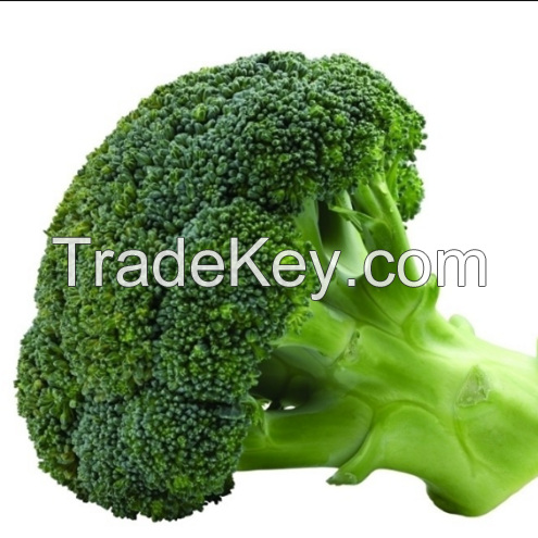 Best Quality Hybrid F1 Heat Resistant Summer Planting Broccoli Seed High Yield