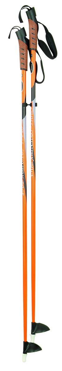 ski pole