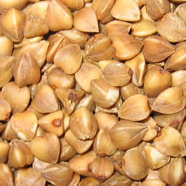 roasted bukwheat kernel