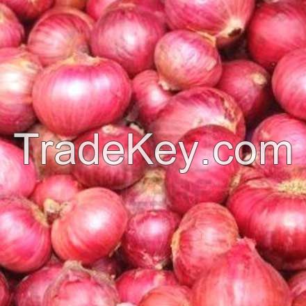 red onion 