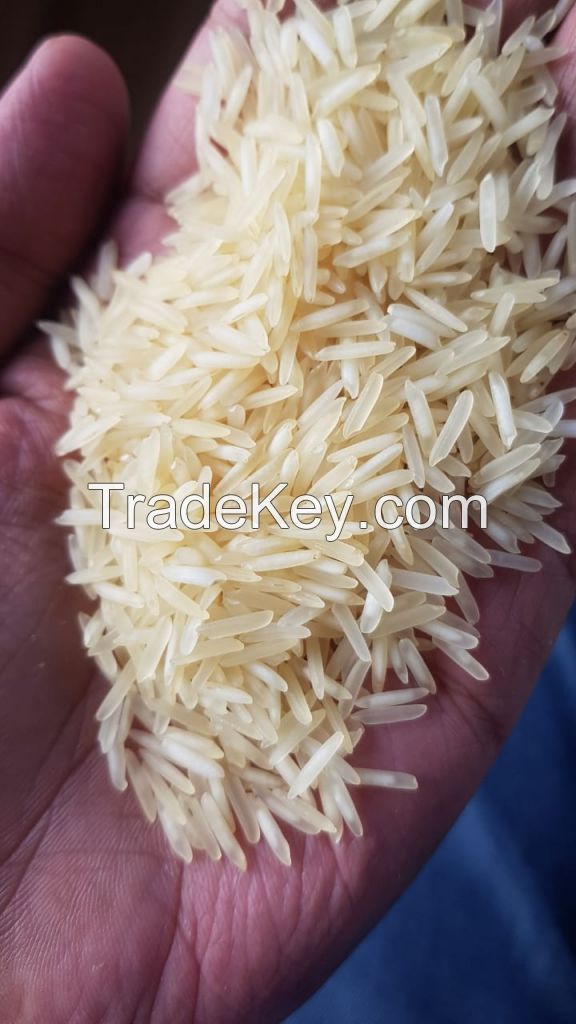 basmati rice 1121