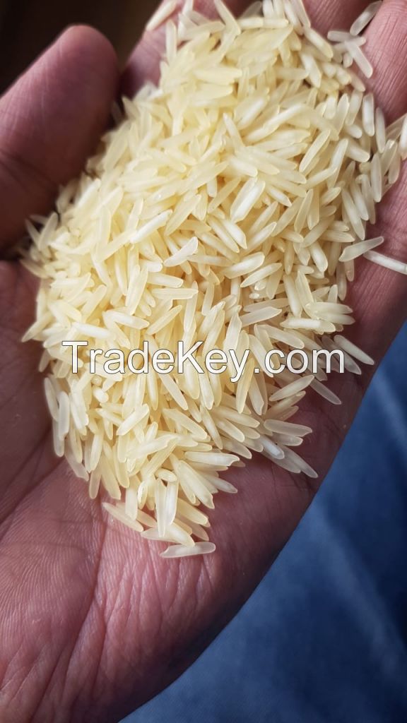 basmati rice 1121