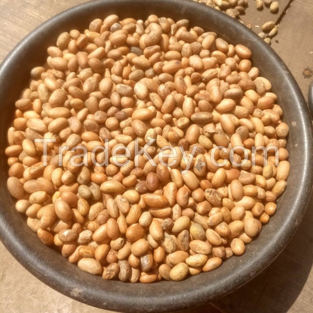 Cassava Flakes,Egusi,Acha,Palm oil,COCOA POWDER