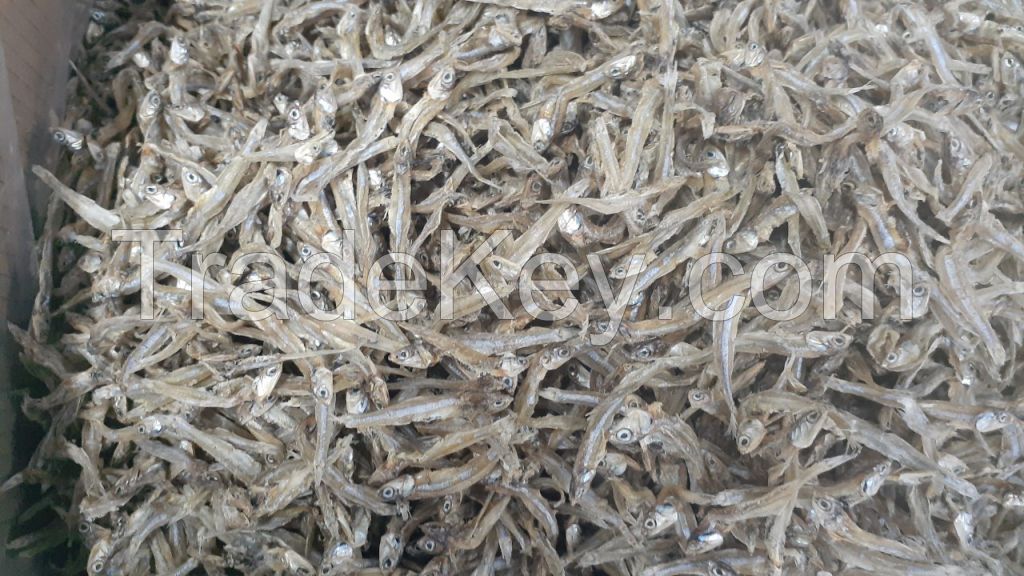 Dried White Anchovy by Sunshine