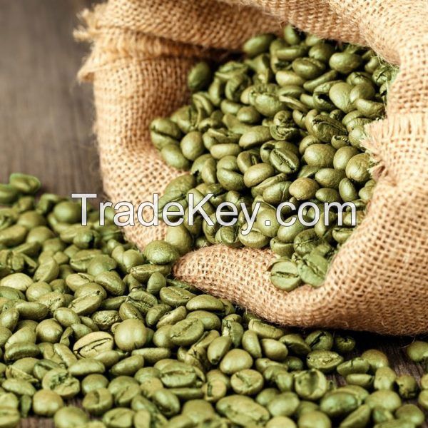 Vietnam Good Quality Arabica Green Coffee Beans Wholesale